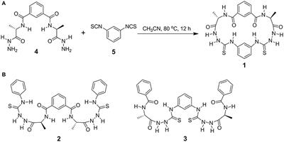 Transmembrane Fluoride Transport by a Cyclic Azapeptide With Two β-Turns